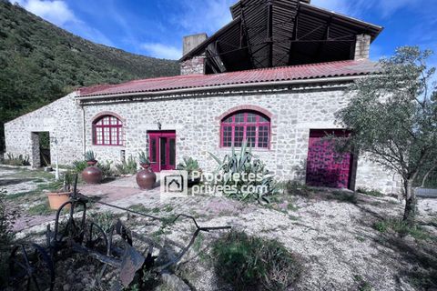 Villa a Fuilla, Pyrenees-Orientales, Fuilla - € 259.000 | Ref: 417678FSS - foto 3