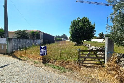 Terra a Vila Cha, Braga, Vila Cha - € 55.000 | Ref: 4409 - foto 2