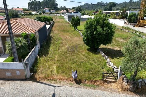 Terra a Vila Cha, Braga, Vila Cha - € 55.000 | Ref: 4409 - foto 3