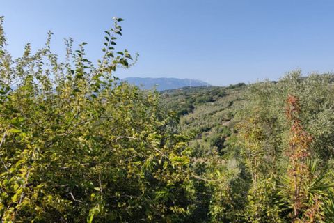 Villa a Serre, Salerno, Serre - € 185.000 | Ref: 555 - foto 19