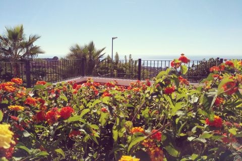 Byhus i Manilva, Malaga, Manilva - € 545.000 | Ref: CHI-4963-413-79 - foto 48
