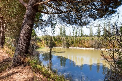 Landejendom i Palmela, Setubal, Palmela - € 12.000.000 | Ref: 8039 - foto 32