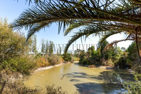 Landejendom i Palmela, Setubal, Palmela - € 12.000.000 | Ref: 8039 - foto 33