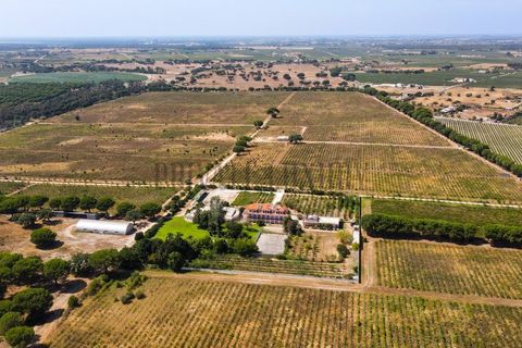 Landejendom i Palmela, Setubal, Palmela - € 12.000.000 | Ref: 8039 - foto 4