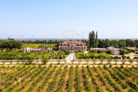 Landejendom i Palmela, Setubal, Palmela - € 12.000.000 | Ref: 8039 - foto 3