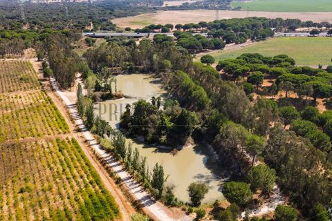 Landejendom i Palmela, Setubal, Palmela - € 12.000.000 | Ref: 8039 - foto 5