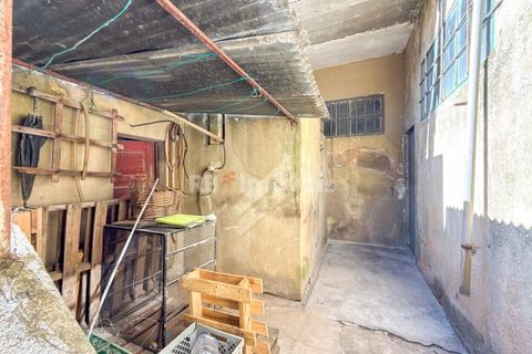 Villa i Tomar, Santarem, Tomar - € 325.000 | Ref: 01637-25 - foto 30