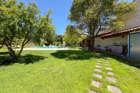 Granja a Abrantes, Santarem, Abrantes - € 498.000 | Ref: 01624-25 - foto 19