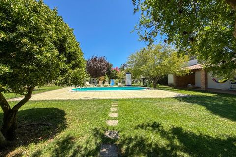 Granja a Abrantes, Santarem, Abrantes - € 498.000 | Ref: 01624-25 - foto 20