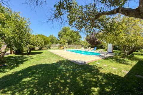 Granja a Abrantes, Santarem, Abrantes - € 498.000 | Ref: 01624-25 - foto 22