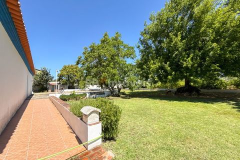 Granja a Abrantes, Santarem, Abrantes - € 498.000 | Ref: 01624-25 - foto 24