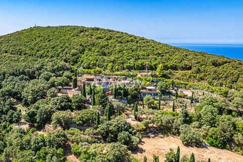 Villa a Monte Argentario, Grosseto, Monte Argentario - € 14.000.000 | Ref: 5879 - foto 5