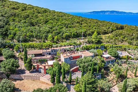 Villa a Monte Argentario, Grosseto, Monte Argentario - € 14.000.000 | Ref: 5879 - foto 6