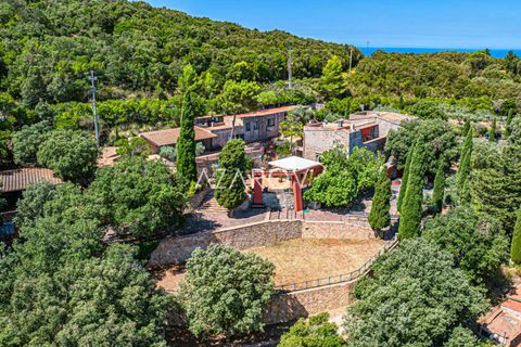 Villa a Monte Argentario, Grosseto, Monte Argentario - € 14.000.000 | Ref: 5879 - foto 7