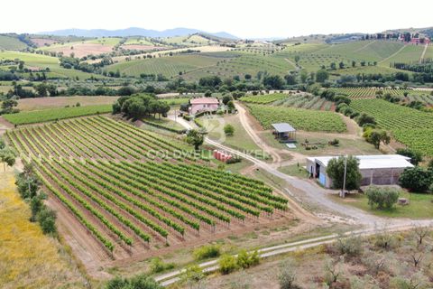 Farm i Grosseto, Grosseto, Grosseto - € 1.400.000 | Ref: CBI105-1176-420 - foto 2