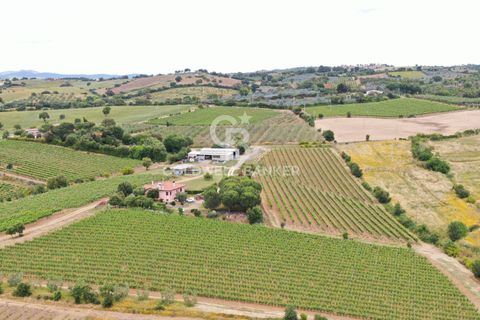 Farm i Grosseto, Grosseto, Grosseto - € 1.400.000 | Ref: CBI105-1176-420 - foto 4