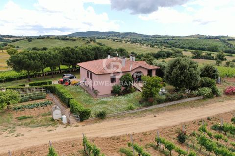Farm i Grosseto, Grosseto, Grosseto - € 1.400.000 | Ref: CBI105-1176-420 - foto 6