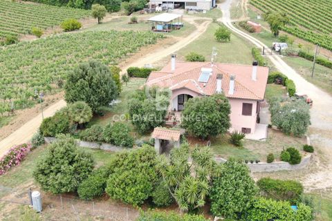 Farm i Grosseto, Grosseto, Grosseto - € 1.400.000 | Ref: CBI105-1176-420 - foto 7