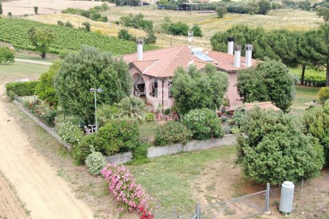 Farm i Grosseto, Grosseto, Grosseto - € 1.400.000 | Ref: CBI105-1176-420 - foto 8