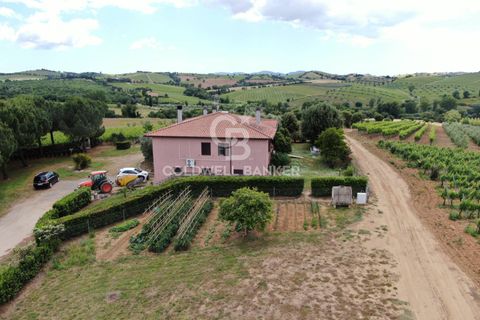 Farm i Grosseto, Grosseto, Grosseto - € 1.400.000 | Ref: CBI105-1176-420 - foto 9