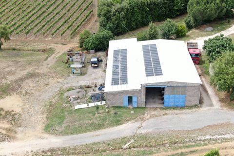 Farm i Grosseto, Grosseto, Grosseto - € 1.400.000 | Ref: CBI105-1176-420 - foto 11