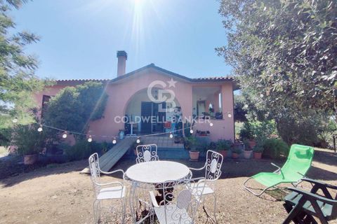 Farm i Grosseto, Grosseto, Grosseto - € 1.400.000 | Ref: CBI105-1176-420 - foto 14