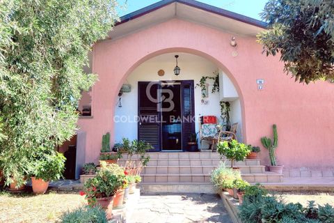 Farm i Grosseto, Grosseto, Grosseto - € 1.400.000 | Ref: CBI105-1176-420 - foto 15