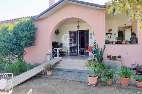 Farm i Grosseto, Grosseto, Grosseto - € 1.400.000 | Ref: CBI105-1176-420 - foto 16