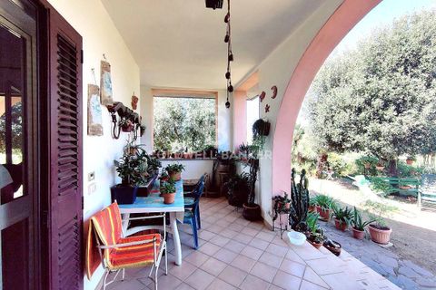 Farm i Grosseto, Grosseto, Grosseto - € 1.400.000 | Ref: CBI105-1176-420 - foto 17