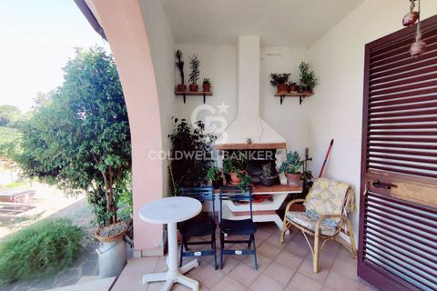 Farm i Grosseto, Grosseto, Grosseto - € 1.400.000 | Ref: CBI105-1176-420 - foto 18