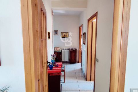 Farm i Grosseto, Grosseto, Grosseto - € 1.400.000 | Ref: CBI105-1176-420 - foto 24