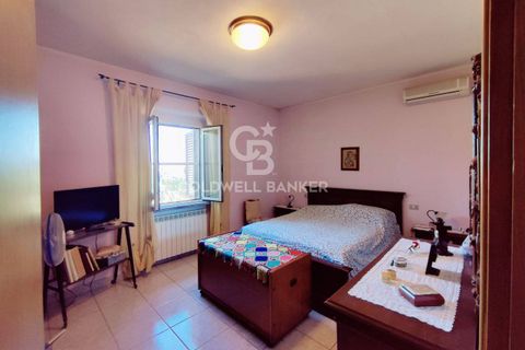 Farm i Grosseto, Grosseto, Grosseto - € 1.400.000 | Ref: CBI105-1176-420 - foto 27