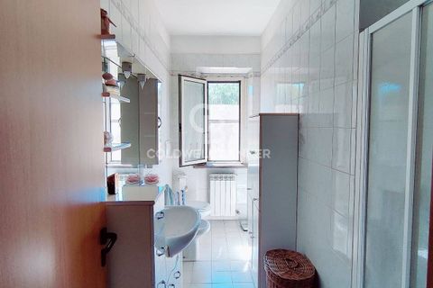 Farm i Grosseto, Grosseto, Grosseto - € 1.400.000 | Ref: CBI105-1176-420 - foto 29