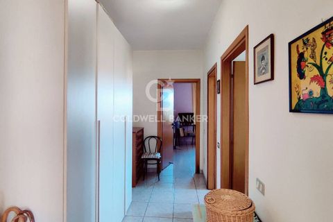 Farm i Grosseto, Grosseto, Grosseto - € 1.400.000 | Ref: CBI105-1176-420 - foto 30
