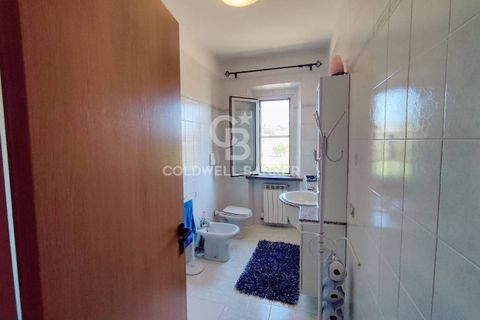 Farm i Grosseto, Grosseto, Grosseto - € 1.400.000 | Ref: CBI105-1176-420 - foto 33