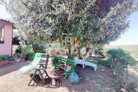 Farm i Grosseto, Grosseto, Grosseto - € 1.400.000 | Ref: CBI105-1176-420 - foto 34