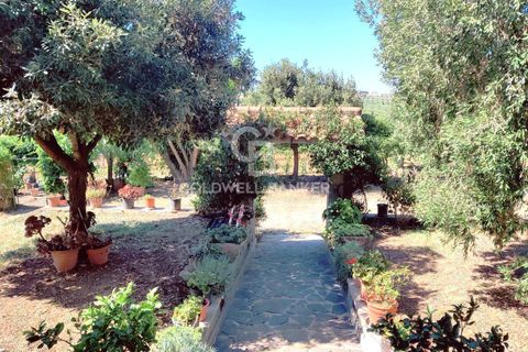 Farm i Grosseto, Grosseto, Grosseto - € 1.400.000 | Ref: CBI105-1176-420 - foto 35