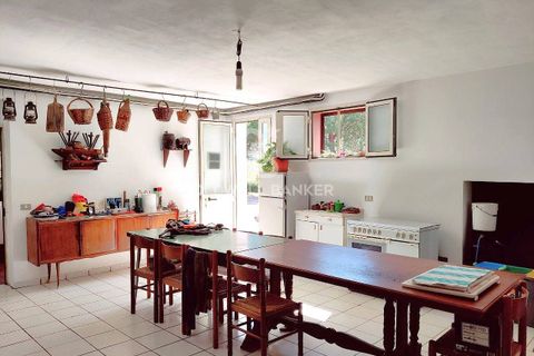 Farm i Grosseto, Grosseto, Grosseto - € 1.400.000 | Ref: CBI105-1176-420 - foto 39