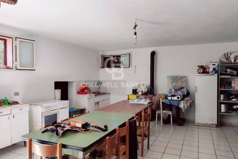 Farm i Grosseto, Grosseto, Grosseto - € 1.400.000 | Ref: CBI105-1176-420 - foto 40