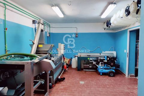 Farm i Grosseto, Grosseto, Grosseto - € 1.400.000 | Ref: CBI105-1176-420 - foto 41