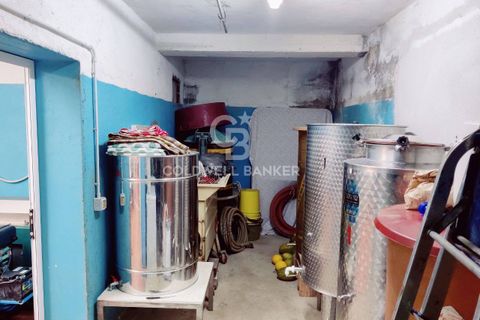 Farm i Grosseto, Grosseto, Grosseto - € 1.400.000 | Ref: CBI105-1176-420 - foto 44