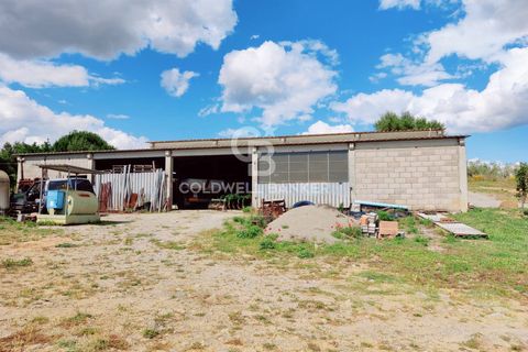 Farm i Grosseto, Grosseto, Grosseto - € 1.400.000 | Ref: CBI105-1176-420 - foto 46