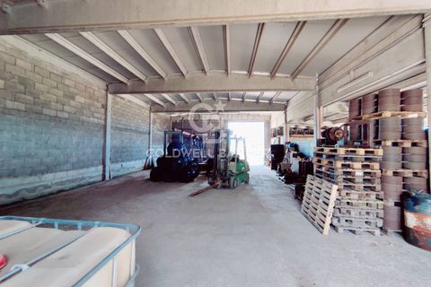 Farm i Grosseto, Grosseto, Grosseto - € 1.400.000 | Ref: CBI105-1176-420 - foto 47