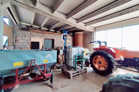 Farm i Grosseto, Grosseto, Grosseto - € 1.400.000 | Ref: CBI105-1176-420 - foto 49