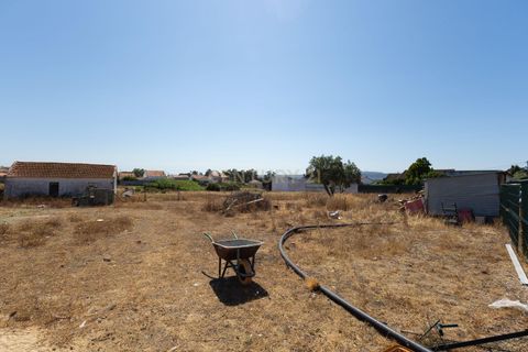 Helårsgrund i Barreiro, Setubal, Barreiro - € 590.000 | Ref: C0237-03539 - foto 16
