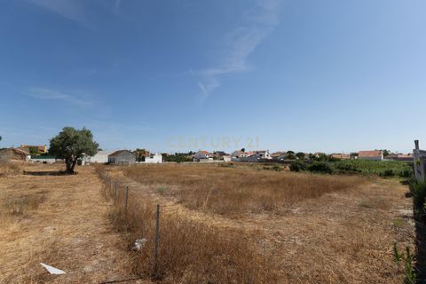 Helårsgrund i Barreiro, Setubal, Barreiro - € 590.000 | Ref: C0237-03539 - foto 26