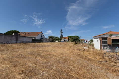 Helårsgrund i Barreiro, Setubal, Barreiro - € 590.000 | Ref: C0237-03539 - foto 34