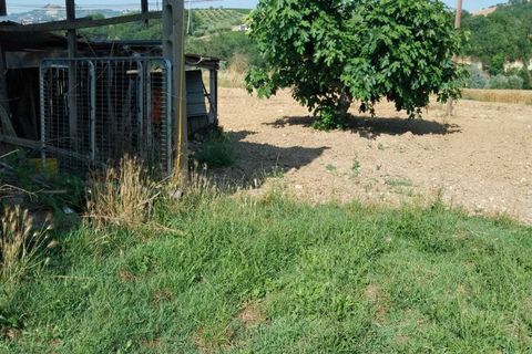 Villa i Offida, Ascoli Piceno, Offida - € 140.000 | Ref: 6879 - foto 19