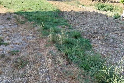 Villa i Offida, Ascoli Piceno, Offida - € 140.000 | Ref: 6879 - foto 20