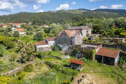 Farm i Ponte de Lima, Viana do Castelo, Ponte de Lima - € 450.000 | Ref: 123331135-87 - foto 1
